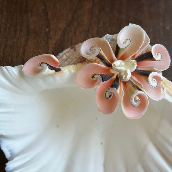 Natural clam shell soap dish - Picture 2 of 7